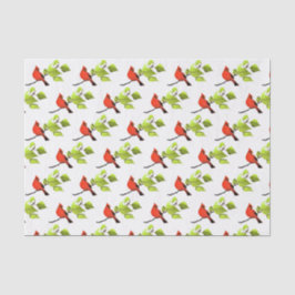 Papel De Seda Pássaro Cardinal Vermelho