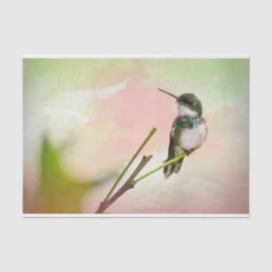 Papel De Seda Pássaro em uma Aquarela de galho e Pastel