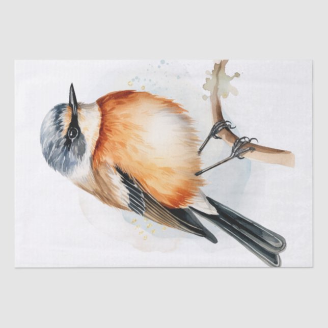 Papel De Seda Pássaro Stonechat Africano (Frente )