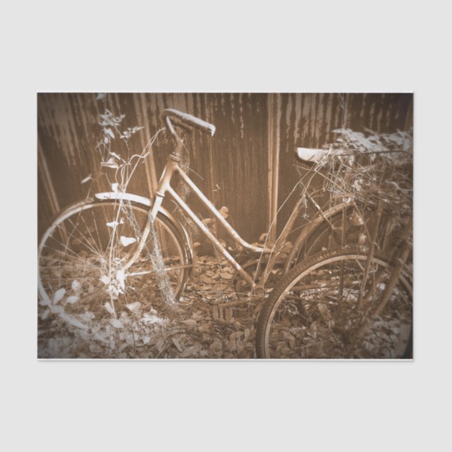 Papel De Seda Passeio esquecido (Frente )