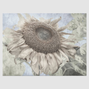 Papel De Seda Pastel Amarelo Giant Sunflower Vintage Antiquado