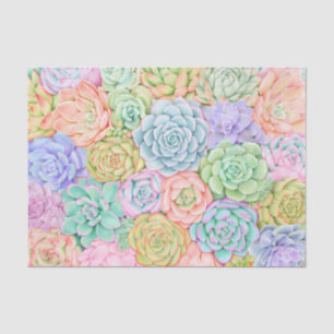 Papel De Seda Pastel Colorido de Cores Aquáticas Sucultas