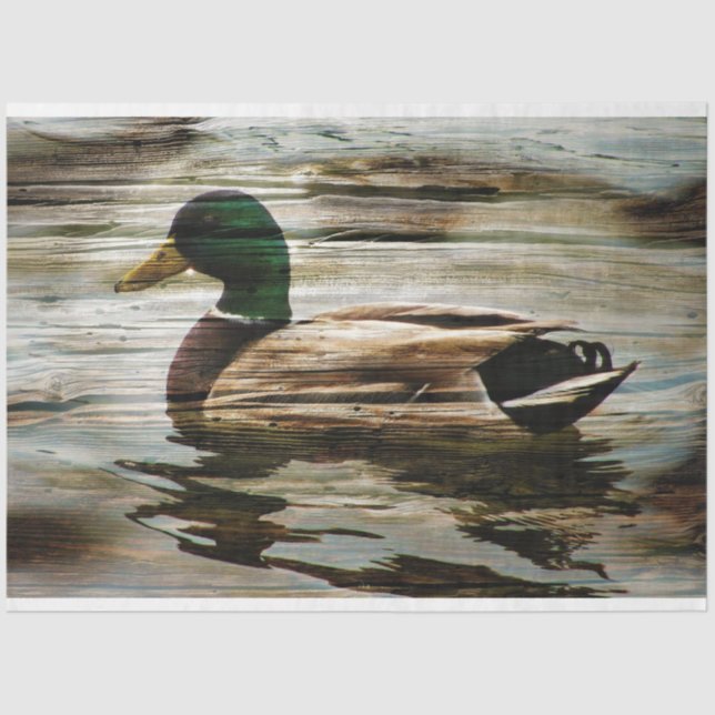 Papel De Seda Pato (Frente )