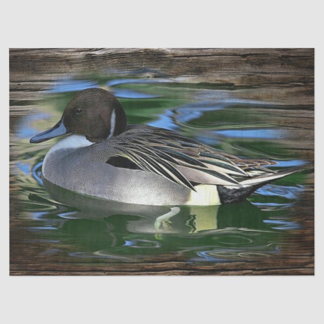 Papel De Seda Pato No Lago (Frente )