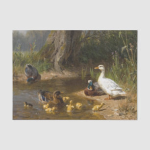 Papel De Seda Patos na Água por Carl Jutz