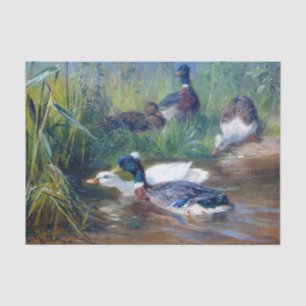 Papel De Seda Patos no Lago por Carl Jutz