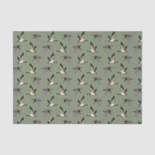 Papel De Seda Patos-reais em verde