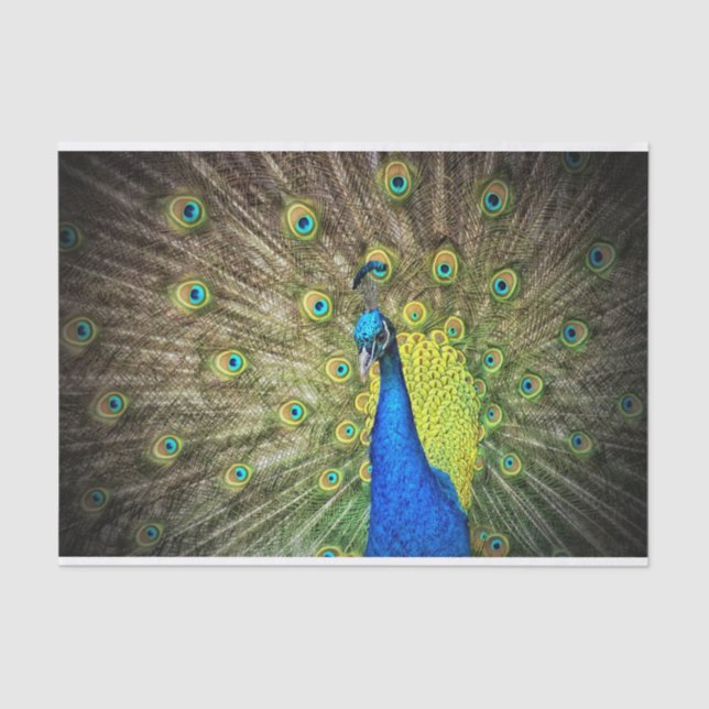 Papel De Seda Pavão (Frente )