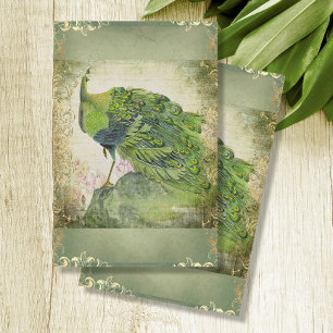 Papel De Seda Pavão Chinês Verde em Decoupage Dourada