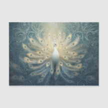 Pavão em Bloom, Penas Brancas, Elegância