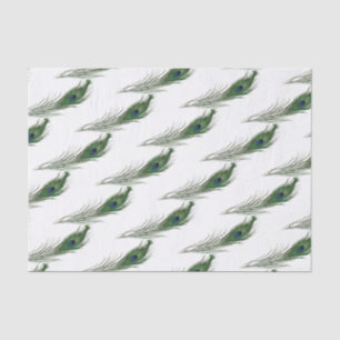 Papel De Seda Pavock Feather Patternado   Temas