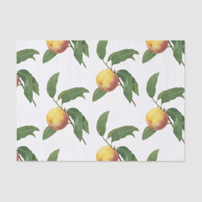Papel De Seda Peach Pattern (Frente )