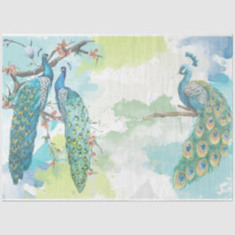 Papel De Seda Peacock Ephemera 2