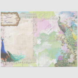 Papel De Seda Peacock Ephemera 5