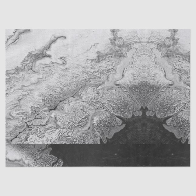 Papel De Seda Pedra do falso do teste padrão do impressão branco (Frente )