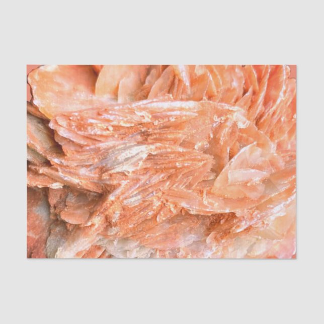 Papel De Seda Pedra | Nova visão | Duas Camadas de Tom | (Frente )