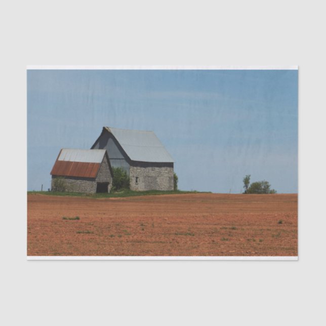 Papel De Seda Pedras no Meio de um Campo de Solo Vermelho (Frente )