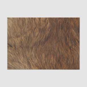 Papel De Seda Pele animal Abstrato Urso Mínimo Pequeno