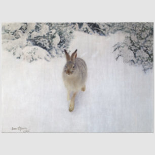 Papel De Seda Pele de inverno (Coelho), Bruno Liljefors
