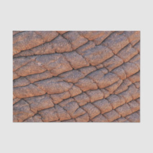 Papel De Seda Pele Elefante