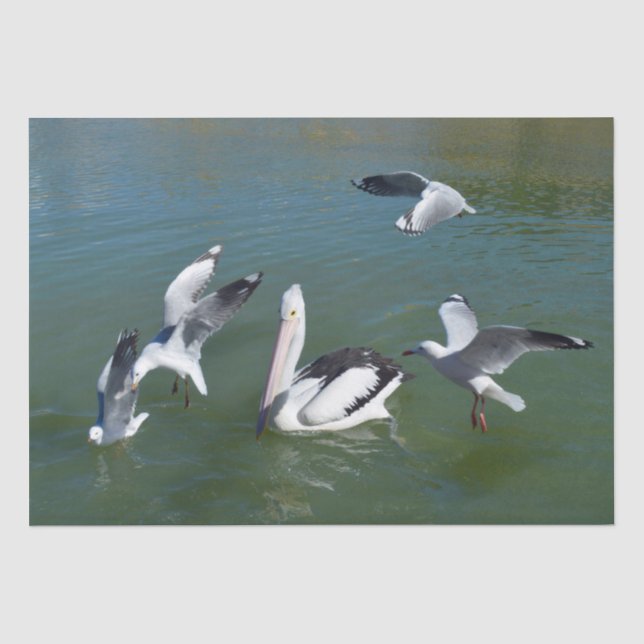 Papel De Seda Pelican E O Portão. (Frente )