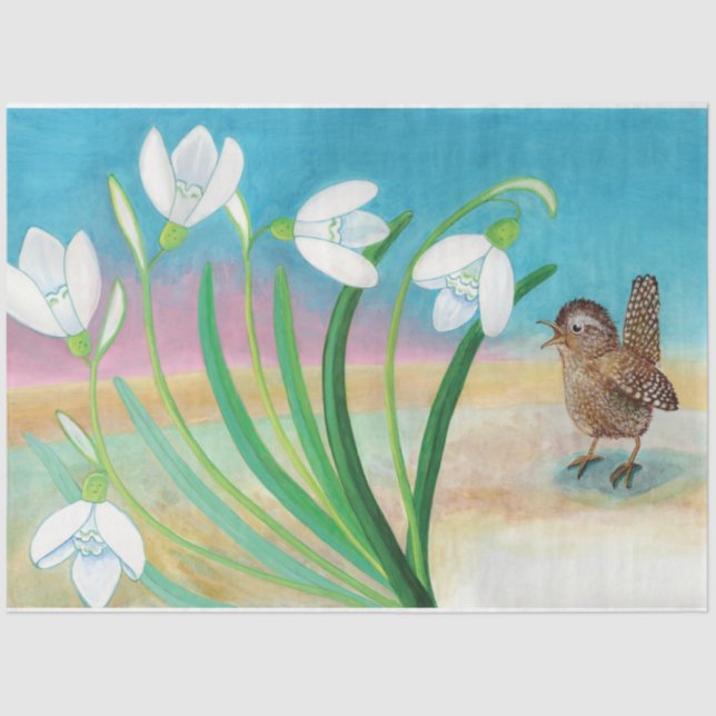 Papel De Seda Pêlos de primavera - Pássaros e neves (Frente )