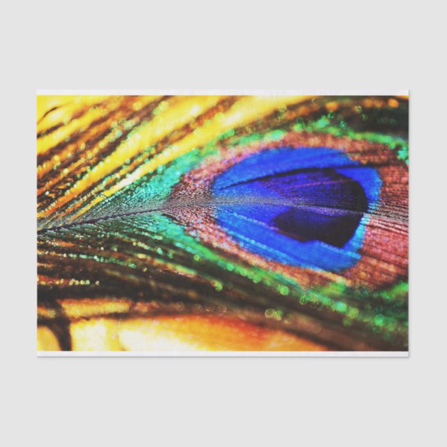 Papel De Seda Pena de Shirley Taylor (Frente )