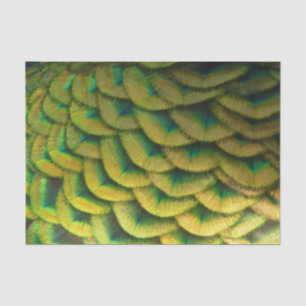 Papel De Seda Penas de Pavão II Natureza Colorida