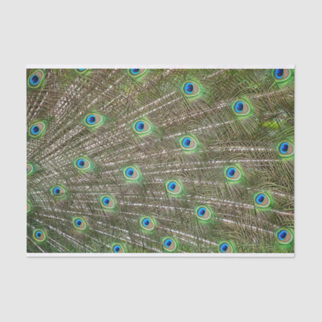 Papel De Seda Penas de Peacock (Frente )