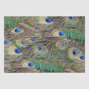 Papel De Seda Penas de Peacock