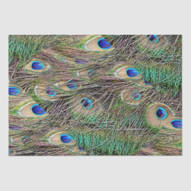 Papel De Seda Penas de Peacock (Frente )