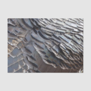 Papel De Seda Penas de Peru Selvagem II Design Abstrato da Natur