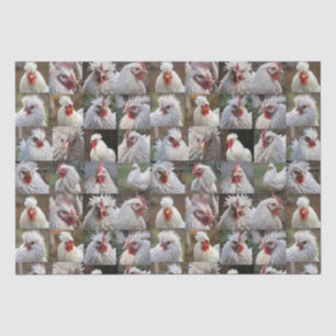 Papel De Seda "Penas em foco: Retrato de frango branco"