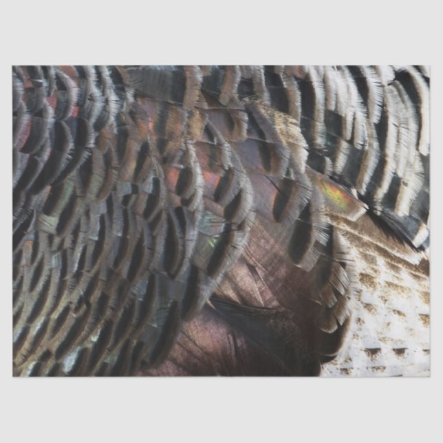 Papel De Seda Penas Selvagens Turcas I Abstrato Nature Design (Frente )