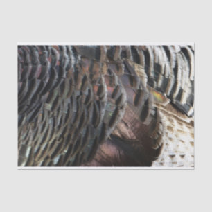 Papel De Seda Penas Selvagens Turcas I Abstrato Nature Design