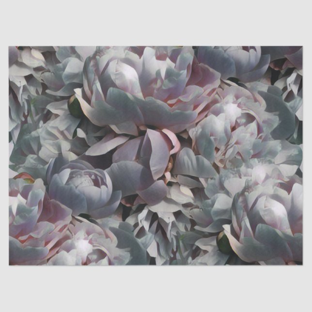 Papel De Seda Peony-Studio (Frente )