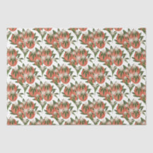 Pequena Cutie Clementine | Chá de fraldas Citrus