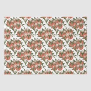 Papel De Seda Pequena Cutie Clementine Chá de fraldas Citrus