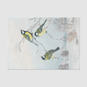 Papel De Seda Pequenas aves bonitas de Matti Karppanen, Birds Ar