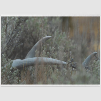 Papel De Seda Perda de cilindros