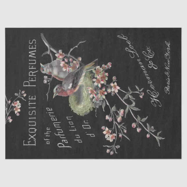 Papel De Seda Perfumes requintados Decoupage de Anúncios de Ephe (Frente )