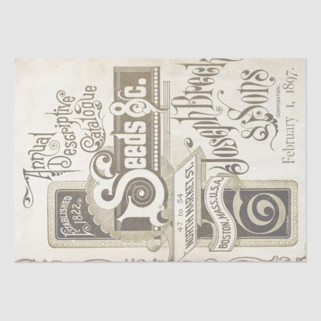 Papel De Seda Pergaminho de Vitória para Desanexação do Catálogo (Frente )