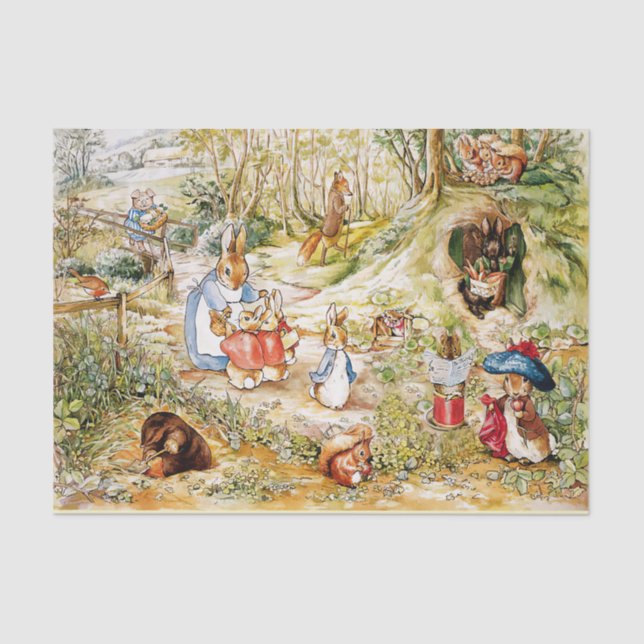 Papel De Seda Peter, o coelho (Frente )