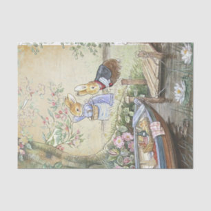 Papel De Seda Peter Rabbit 11