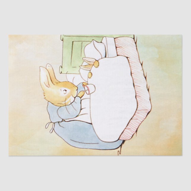 Papel De Seda Peter Rabbit 4 - Tecido (Frente )