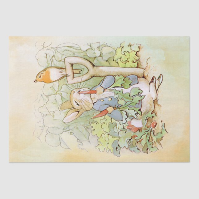 Papel De Seda Peter Rabbit (cenoura) (Frente )