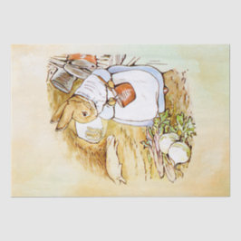 Papel De Seda Peter Rabbit (nabo-nabo)