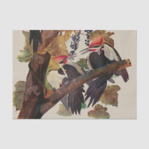 Papel De Seda Pica-Pau-Grande de John James Audubon Impressão de