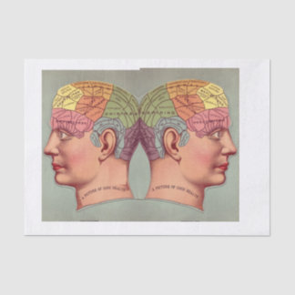 Papel De Seda Picture of Perfect Health Vintage Anatomy