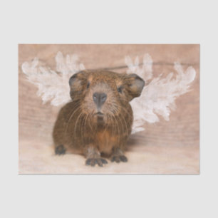 Papel De Seda Pig Angel